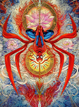 Spider-Man: Brand New Day - steelbook 4K