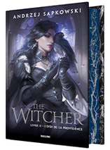 The Witcher : Livre 2 - L'Épée de la Providence (édition reliée)