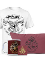 Le lot goodies collector et T-shirt Harry Potter est en promo