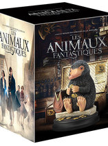 L’édition collector des Animaux Fantastiques est en promo