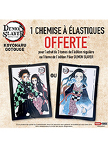 1 chemise à élastiques pour l'achat de 3 tomes de l'édition régulière ou 1 tome de l'édition pilier du manga Demon Slayer