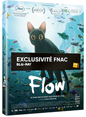 le-film-d-animation-flow-le-chat-qui-n-avait-plus-peur-de-l-eau-en-blu-ray-est-en-promo