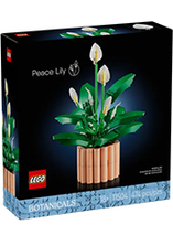 Le LEGO botanicals des fleurs de lune est en promo